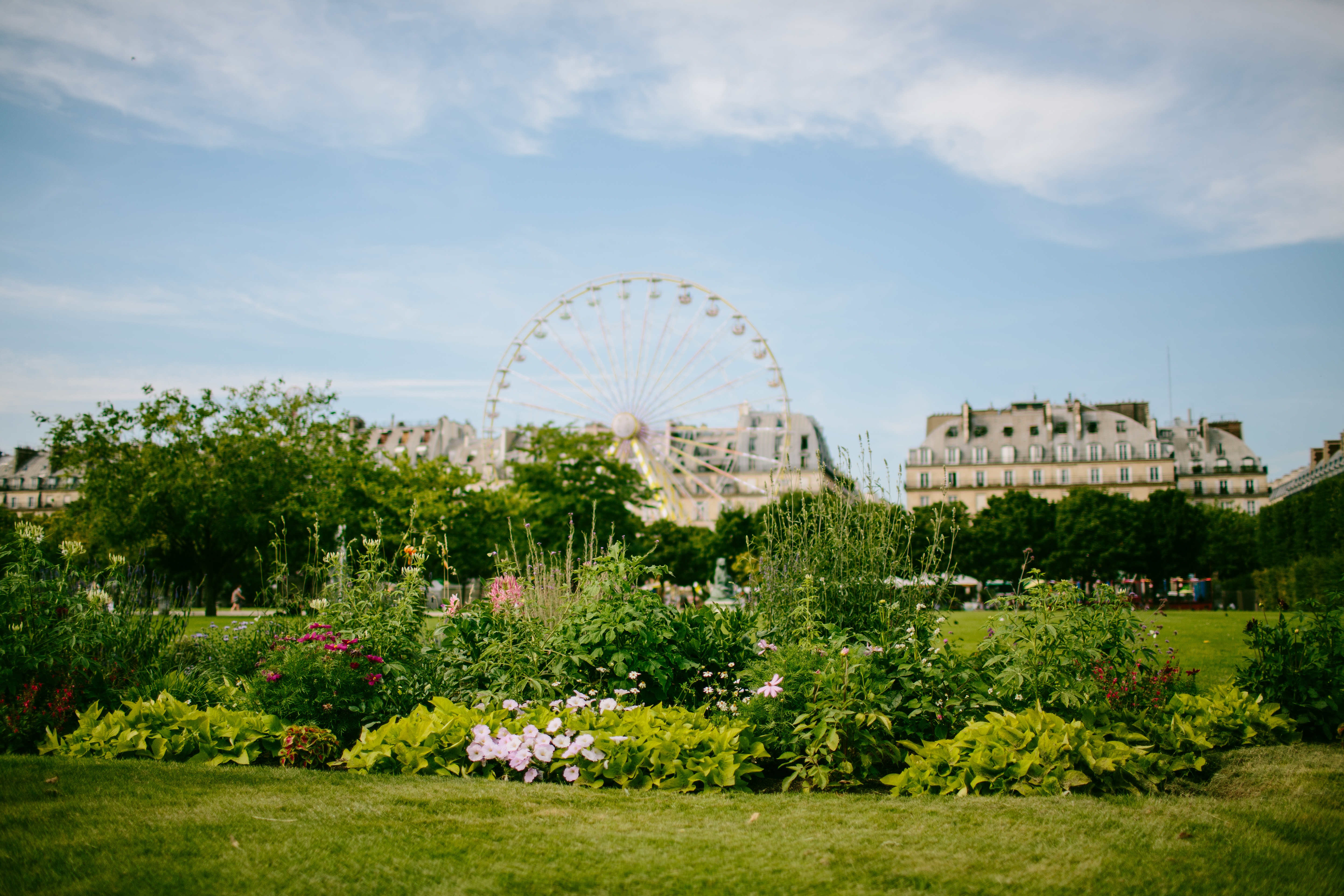 Gartenunterhalt Eisenberg, Garten, Gartenpflege, Pflanzenschutz, Bepflanzungen